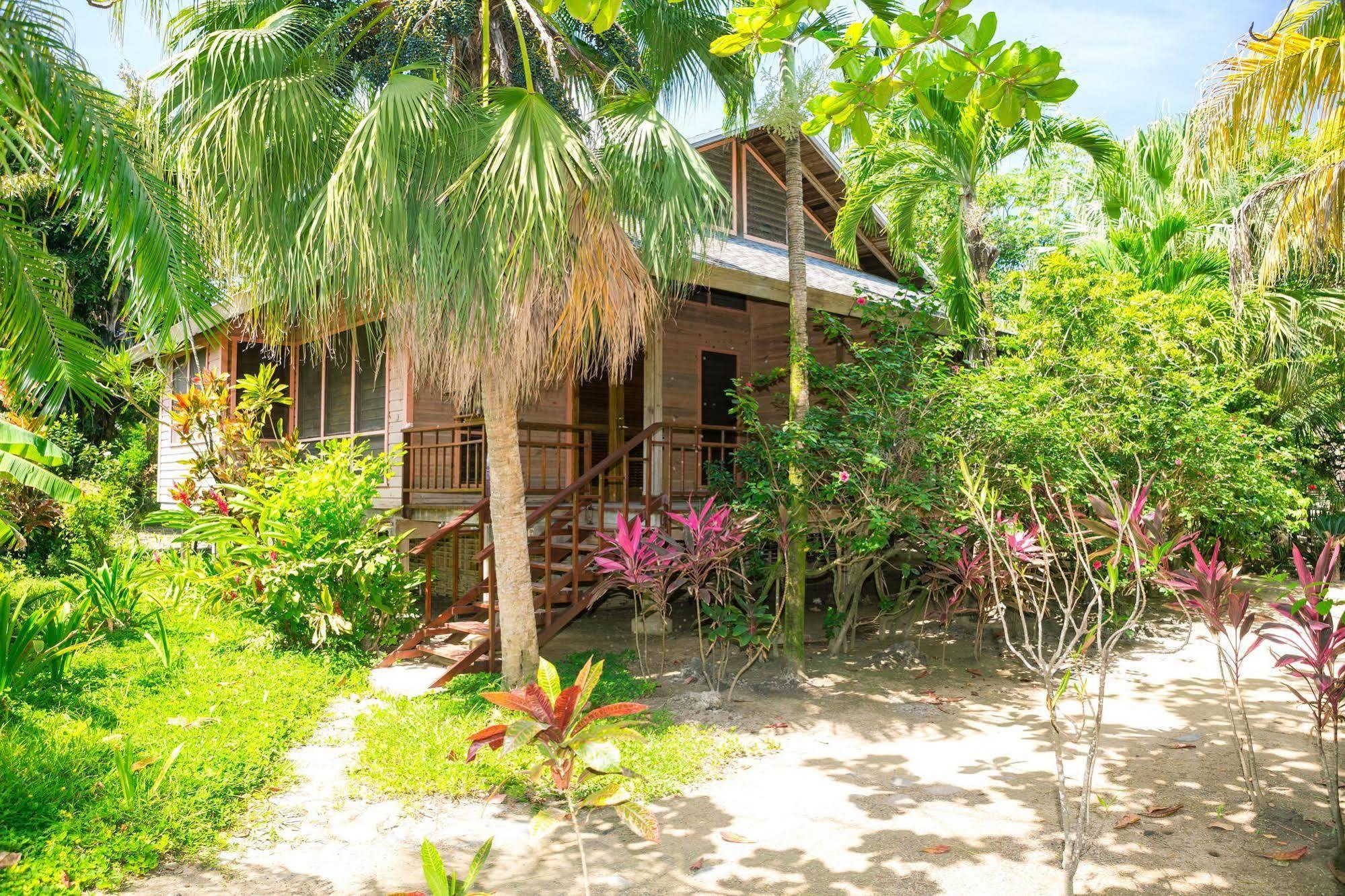 Casa Flores Palmetto Bay Kültér fotó
