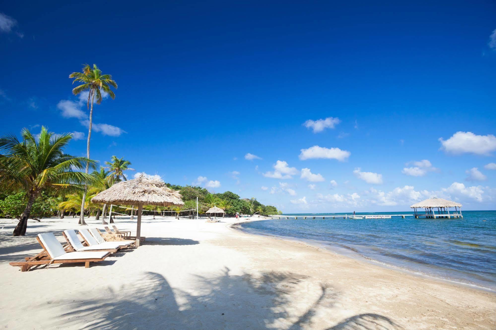 Casa Flores Palmetto Bay Kültér fotó