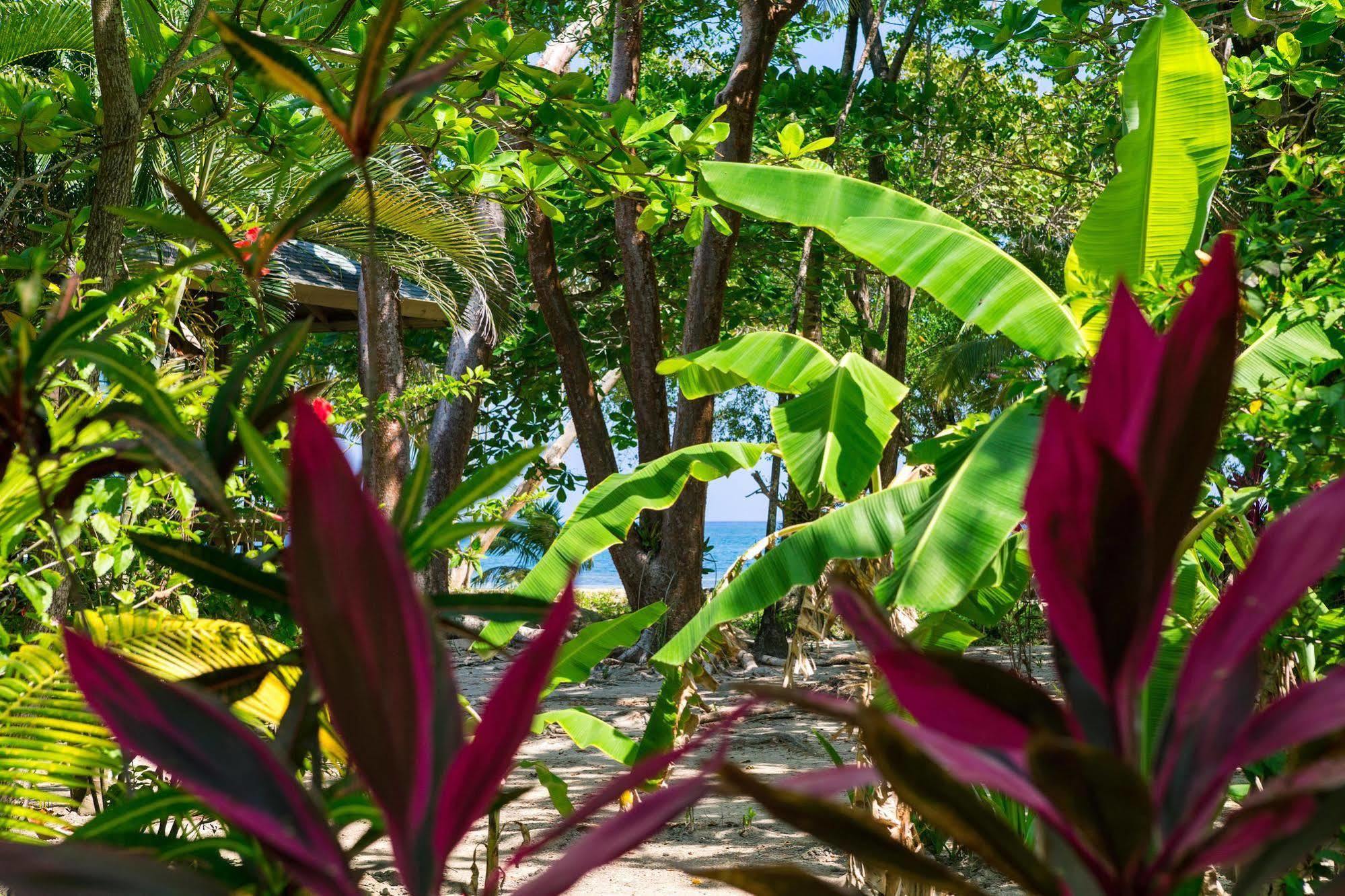 Casa Flores Palmetto Bay Kültér fotó
