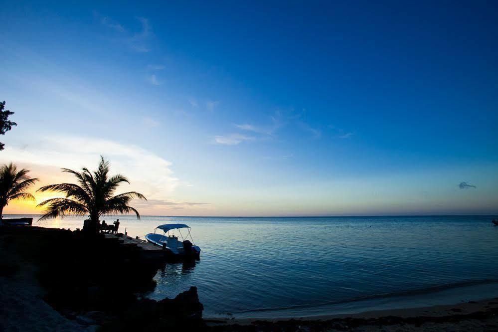 Casa Flores Palmetto Bay Kültér fotó