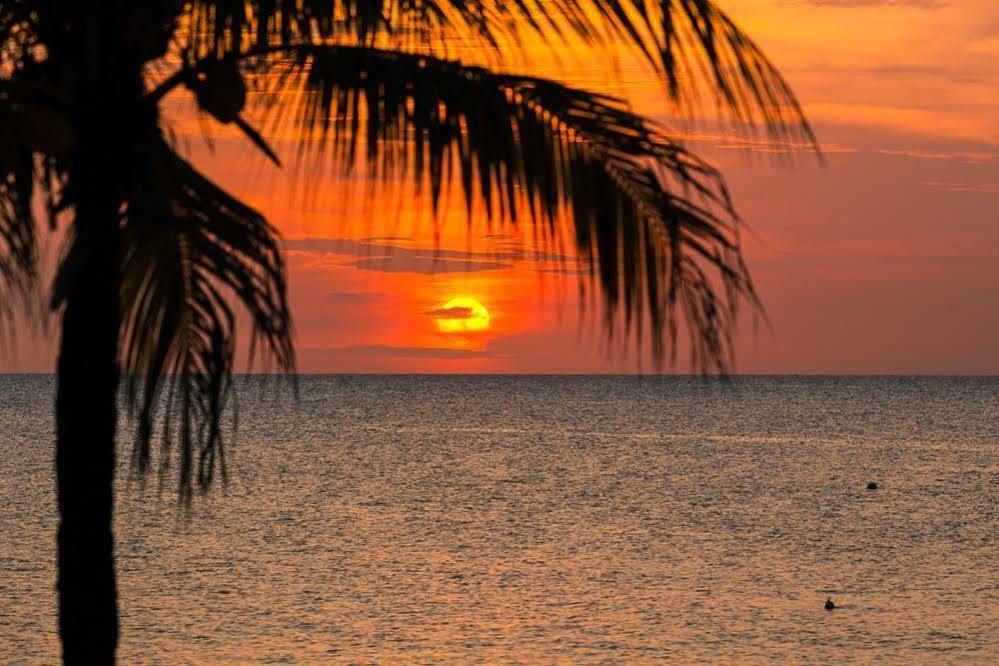 Casa Flores Palmetto Bay Kültér fotó