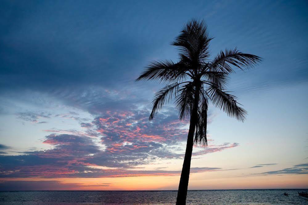 Casa Flores Palmetto Bay Kültér fotó